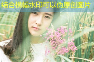 虚拟学习在上海教育中的作用